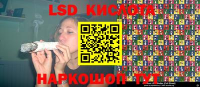 амф Обь