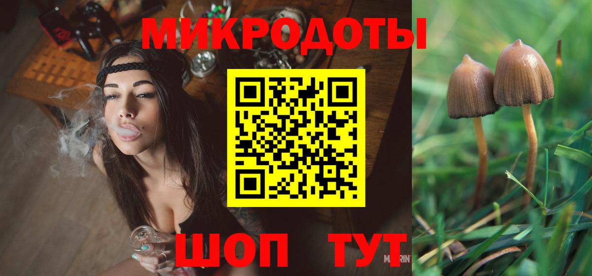Псилоцибиновые грибы прущие грибы Урай
